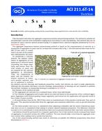 ACI 211.6T ACI 211.6T