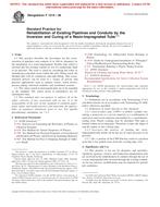 ASTM F1216-06 ASTM F1216-06