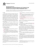 ASTM F1216-07b ASTM F1216-07b