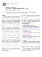 ASTM E2905/E2905M-12