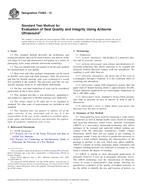 ASTM F3004-13 ASTM F3004-13