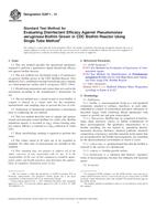 ASTM E2871-13 ASTM E2871-13