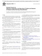 ASTM E2690-17 ASTM E2690-17