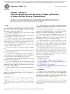 ASTM E2690-17a ASTM E2690-17a