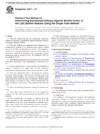 ASTM E2871-19 ASTM E2871-19