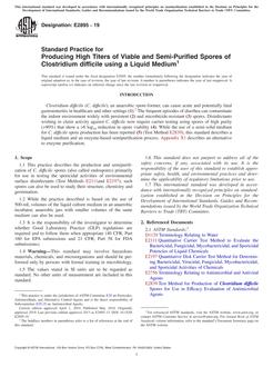 ASTM E2895 ASTM E2895