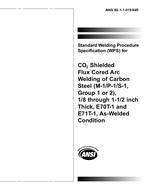 AWS B2.1-1-019:1994 AWS B2.1-1-019:1994