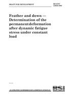 BS DD ENV 12936 BS DD ENV 12936