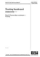 BS DD CEN/TS 12390-9:2006