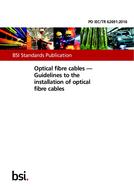 BS PD IEC/TR 62691 BS PD IEC/TR 62691