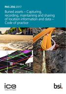 BS PAS 256 BS PAS 256