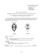 MIL MIL-DTL-3943/126D