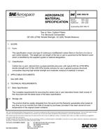 SAE AMS3892/1B SAE AMS3892/1B