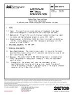 SAE AMS3894/18 SAE AMS3894/18