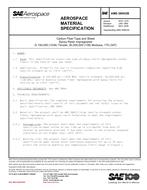 SAE AMS3894/2B SAE AMS3894/2B
