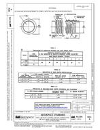SAE AS1541A SAE AS1541A