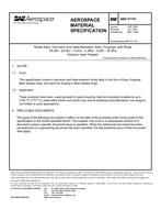 SAE AMS5717H SAE AMS5717H