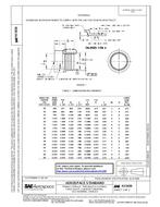 SAE AS5838 SAE AS5838
