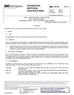 SAE AMS5905B SAE AMS5905B