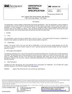 SAE AMS3901/10C SAE AMS3901/10C