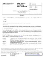 SAE AMS5901C SAE AMS5901C