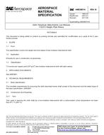 SAE AMS3801/4B SAE AMS3801/4B