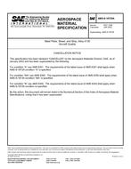 SAE AMSS18729A SAE AMSS18729A