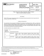 SAE AMST7081A SAE AMST7081A