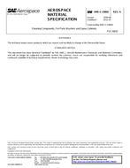 SAE AMSC29602A
