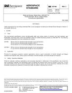 SAE AS7466C SAE AS7466C