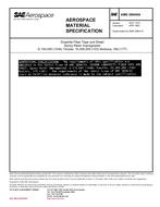 SAE AMS3894/6A SAE AMS3894/6A