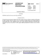 SAE AMS3006H SAE AMS3006H