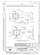 SAE AS27194B SAE AS27194B