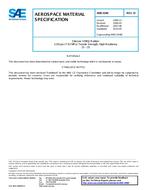 SAE AMS3348D SAE AMS3348D