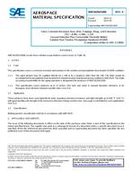 SAE AMS5629/H1000A SAE AMS5629/H1000A