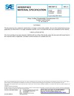 SAE AMS7284/2A SAE AMS7284/2A