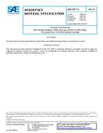 SAE AMS3787/3B SAE AMS3787/3B