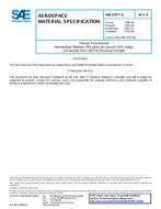 SAE AMS3787/6B SAE AMS3787/6B