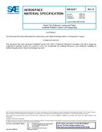 SAE AMS3818B SAE AMS3818B