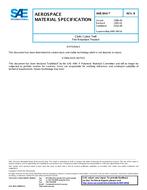 SAE AMS3841B SAE AMS3841B
