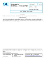 SAE AMSG25667A SAE AMSG25667A