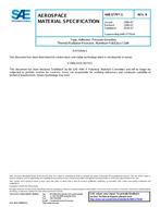 SAE AMS3779/1B