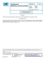 SAE AMS3904/12B SAE AMS3904/12B