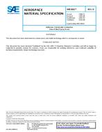 SAE AMS3681D SAE AMS3681D