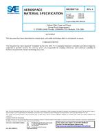 SAE AMS3894/18A SAE AMS3894/18A