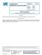 SAE AMS3894/1C SAE AMS3894/1C