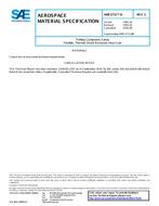 SAE AMS3731/9C SAE AMS3731/9C