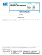 SAE AMS3899C SAE AMS3899C