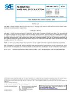 SAE AMSWWT700/5B SAE AMSWWT700/5B