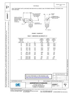 SAE AS6099B SAE AS6099B